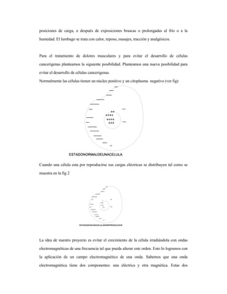 posiciones de carga, o después de exposiciones bruscas o prolongadas al frío o a la
humedad. El lumbago se trata con calor, reposo, masajes, tracción y analgésicos.
Para el tratamiento de dolores musculares y para evitar el desarrollo de células
cancerigenas planteamos la siguiente posibilidad. Planteamos una nueva posibilidad para
evitar el desarrollo de células cancerigenas.
Normalmente las células tienen un núcleo positivo y un citoplasma negativo (ver fig)
Cuando una célula esta por reproducirse sus cargas eléctricas se distribuyen tal como se
muestra en la fig 2
La idea de nuestro proyecto es evitar el crecimiento de la célula irradiándola con ondas
electromagnéticas de una frecuencia tal que pueda alterar este orden. Esto lo logramos con
la aplicación de un campo electromagnético de una onda. Sabemos que una onda
electromagnética tiene dos componentes: una eléctrica y otra magnética. Estas dos
 