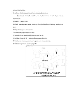 6.5 METODOLOGIA
Se utilizará el método experimental para contrastar las hipótesis.
Se utilizará el método científico para el planeamiento de todo el proceso de
investigación.
6.5.1.PROCEDIMIENTO
Construir una maqueta en la que se muestre el río moche y las piscinas para la crianza de
peces
1. Depositar las aguas del río moche .
2. Construir pequeñas casitas de cartón.
3. Sembrar árboles de cartón a lo largo del curso del río
4. Purificar el agua del río y llenar los desechos a un depósito.
5. Construir las piscinas para simular las pozas para crianzas de peces.
6. Pintar la maqueta con colores apropiados.
 