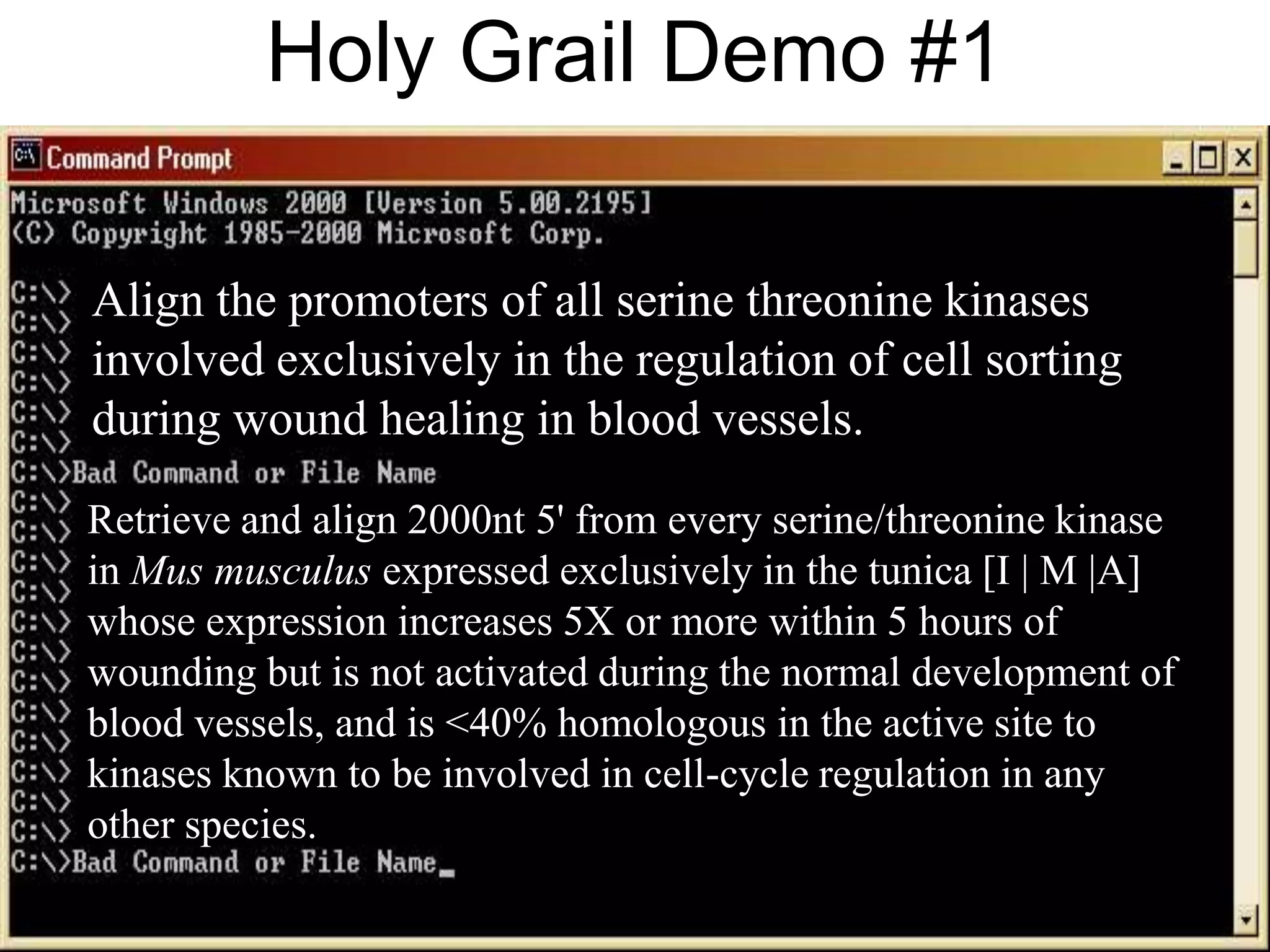 Holy Grail Demo #1Align the promoters of all serine threonine kinases involved exclusively in the regulation of cell sorting during wound healing in blood vessels.Retrieve and align 2000nt 5' from every serine/threonine kinase in Mus musculus expressed exclusively in the tunica [I | M |A] whose expression increases 5X or more within 5 hours of wounding but is not activated during the normal development of blood vessels, and is <40% homologous in the active site to kinases known to be involved in cell-cycle regulation in any other species.