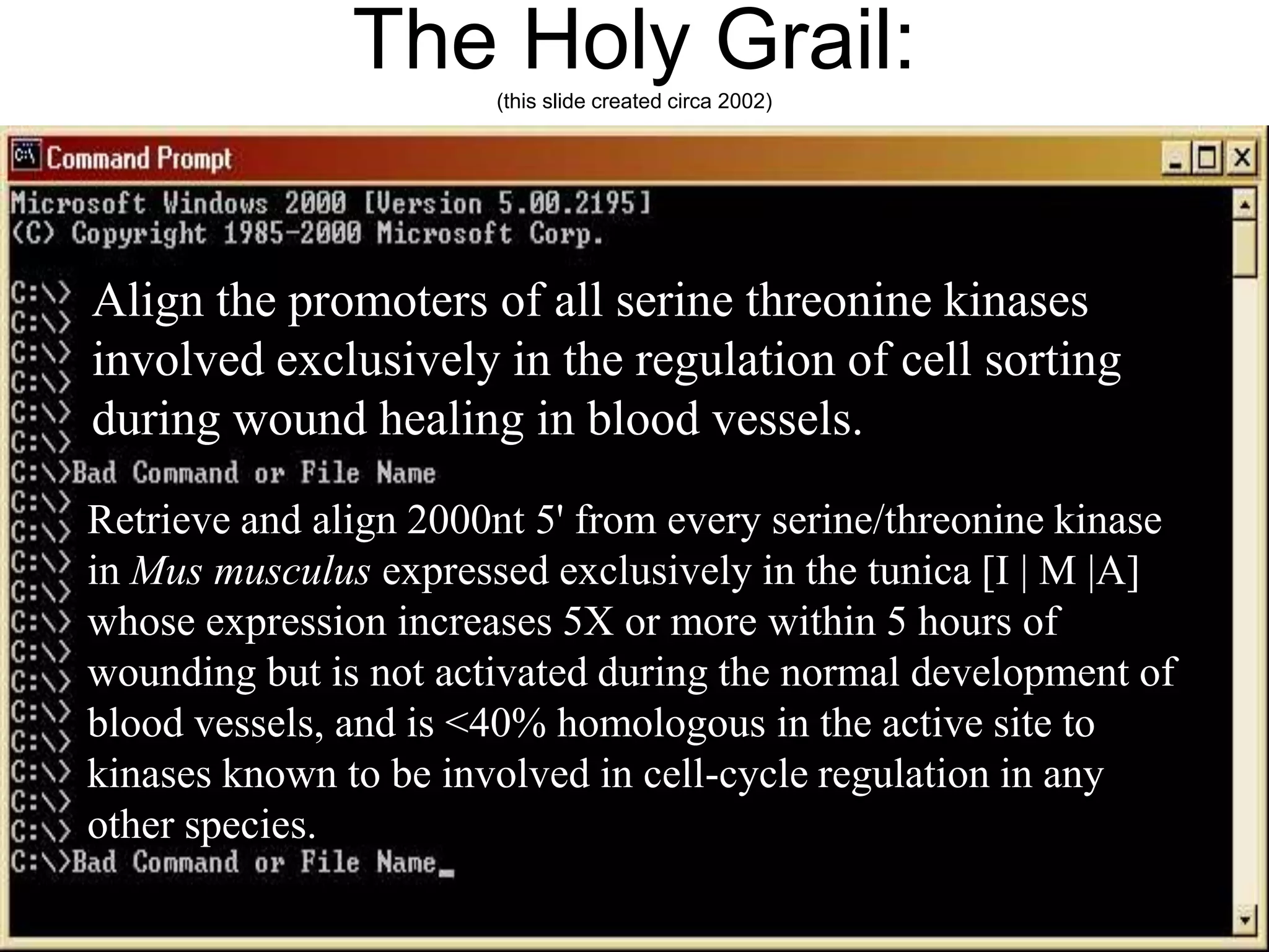 The Holy Grail:(this slide created circa 2002)Align the promoters of all serine threonine kinases involved exclusively in the regulation of cell sorting during wound healing in blood vessels.Retrieve and align 2000nt 5' from every serine/threonine kinase in Mus musculus expressed exclusively in the tunica [I | M |A] whose expression increases 5X or more within 5 hours of wounding but is not activated during the normal development of blood vessels, and is <40% homologous in the active site to kinases known to be involved in cell-cycle regulation in any other species.