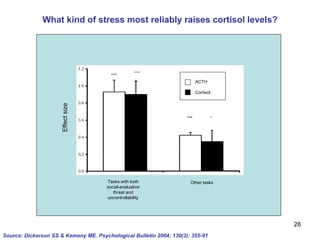 What kind of stress most reliably raises cortisol levels? Source: Dickerson SS & Kemeny ME. Psychological Bulletin 2004; 130(3): 355-91 ACTH Cortisol Tasks with both social-evaluative threat and uncontrollability Other tasks Effect size 