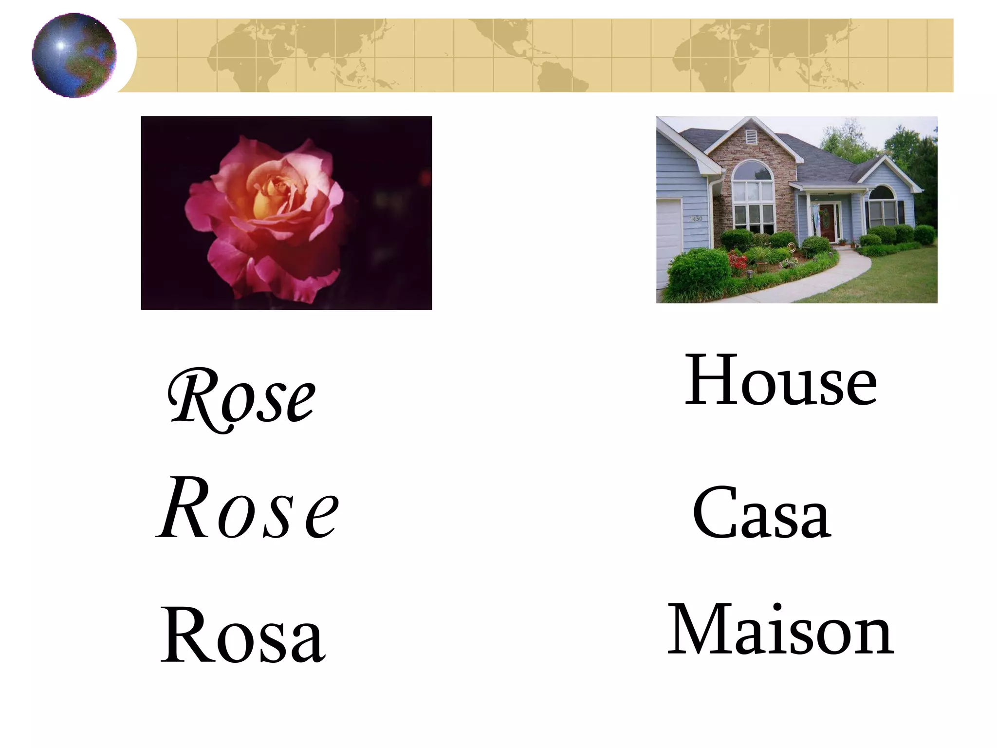 Rose Rose Rosa House Casa Maison 