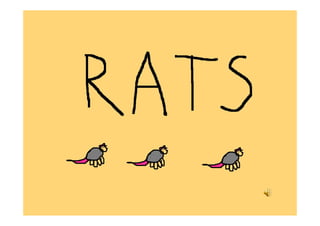 Mrs Polly Piper had rats!!!
 