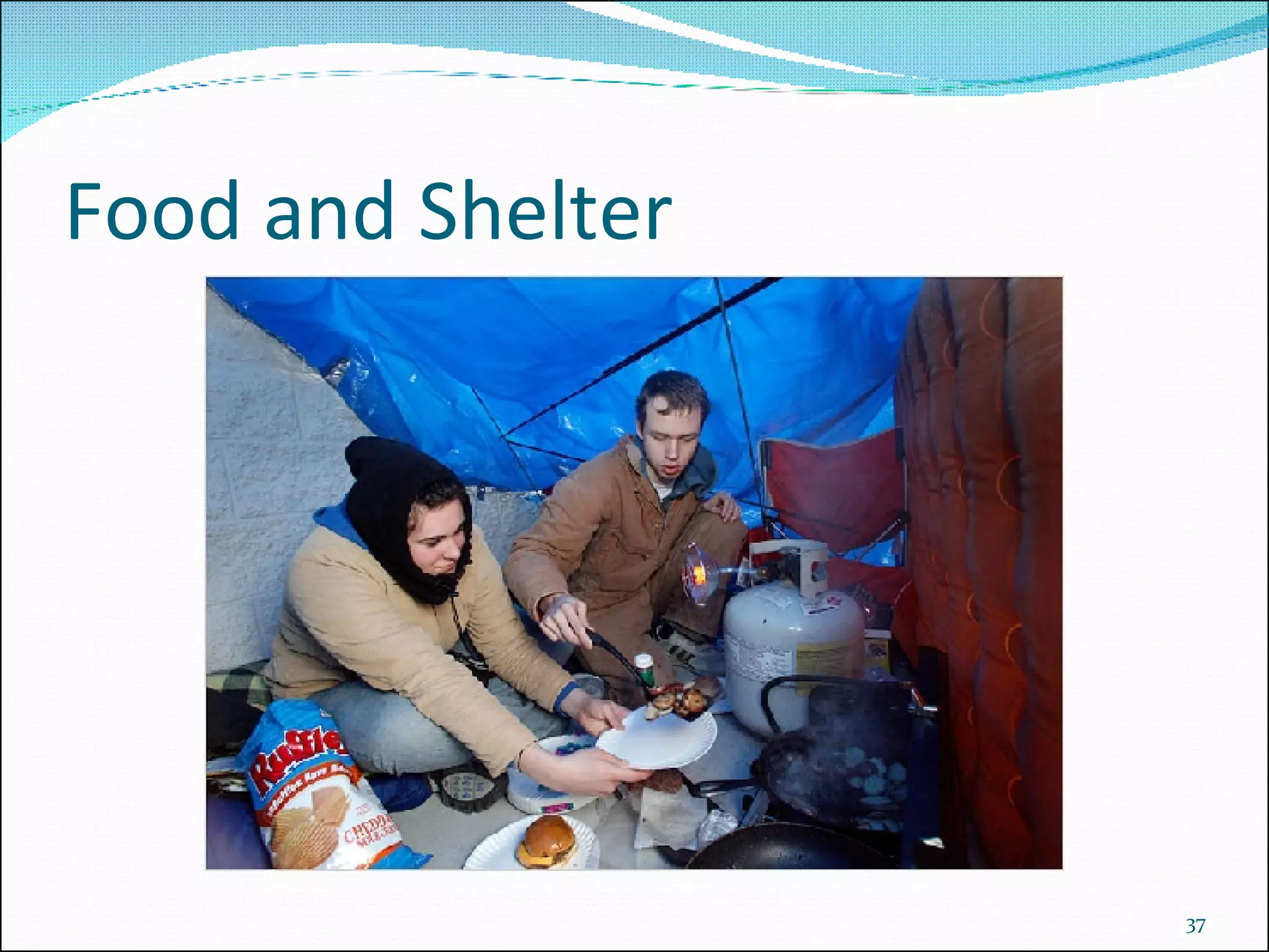 Food and Shelter 