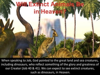 Will Animals be in Heaven?