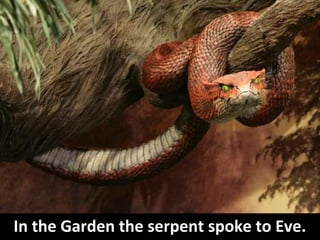 In the Garden the serpent spoke to Eve.
 