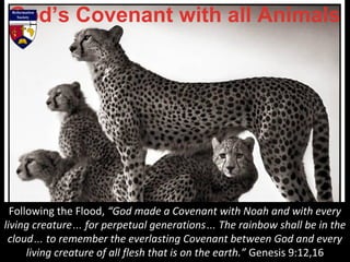 Following the Flood, “God made a Covenant with Noah and with every
living creature… for perpetual generations… The rainbow shall be in the
cloud… to remember the everlasting Covenant between God and every
living creature of all flesh that is on the earth.” Genesis 9:12,16
 