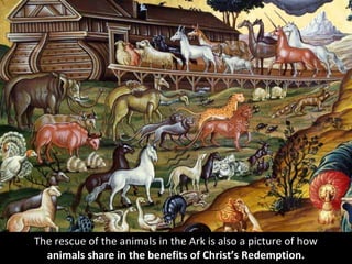 The rescue of the animals in the Ark is also a picture of how
animals share in the benefits of Christ’s Redemption.
 