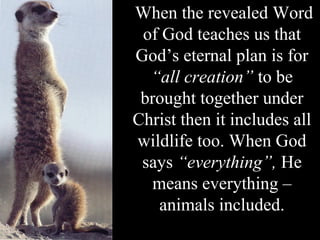 When the revealed Word
of God teaches us that
God’s eternal plan is for
“all creation” to be
brought together under
Christ then it includes all
wildlife too. When God
says “everything”, He
means everything –
animals included.
 