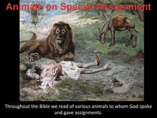 Throughout the Bible we read of various animals to whom God spoke
and gave assignments.
 