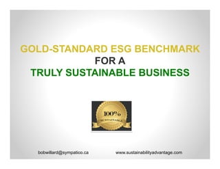 GOLD-STANDARD ESG BENCHMARK
FOR A
TRULY SUSTAINABLE BUSINESS
bobwillard@sympatico.ca www.sustainabilityadvantage.com
 