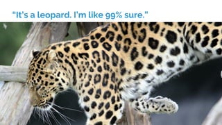 “It’s a leopard. I’m like 99% sure.”
 