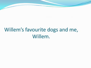 Willem’s favourite dogs and me,
Willem.

 