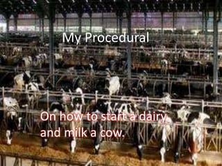 My Procedural




On how to start a dairy
and milk a cow.
 