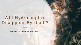 Will Hydrosalpinx
Disappear By Itself?
Wuhan Dr.Lee’s TCM Clinic
 