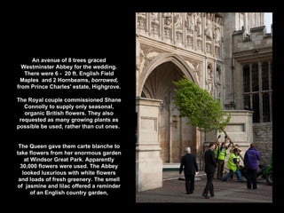 An avenue of 8 trees graced Westminster Abbey for the wedding. There were 6 -  20 ft. English Field Maples  and 2 Hornbeams,  borrowed,  from Prince Charles' estate, Highgrove. The Royal couple commissioned Shane Connolly to supply only seasonal, organic British flowers. They also requested as many growing plants as possible be used, rather than cut ones.  The Queen gave them carte blanche to take flowers from her enormous garden at Windsor Great Park. Apparently 30,000 flowers were used. The Abbey looked luxurious with white flowers and loads of fresh greenery. The smell of  jasmine and lilac offered a reminder of an English country garden, 