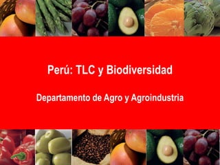 Perú: TLC y Biodiversidad
Departamento de Agro y Agroindustria
 