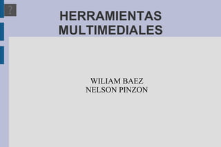 HERRAMIENTAS MULTIMEDIALES WILIAM BAEZ NELSON PINZON 