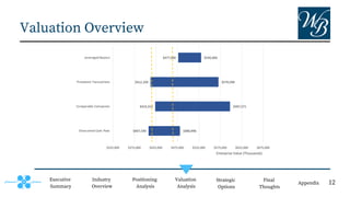 Valuation Overview
Executive
Summary
Positioning
Analysis
Valuation
Analysis
Strategic
Options
Final
Thoughts
Appendix
Industry
Overview
12
 