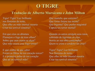 O TIGREO TIGRE
Tradução de Alberto Marsicano e John MiltonTradução de Alberto Marsicano e John Milton
Tigre! Tigre! Luz brilhanteTigre! Tigre! Luz brilhante
nas florestas da noite,nas florestas da noite,
Que olho ou mão imortal ousariaQue olho ou mão imortal ousaria
Criar tua terrível simetria?Criar tua terrível simetria?
Em que céus ou abismosEm que céus ou abismos
Flamejou o fogo de teus olhos?Flamejou o fogo de teus olhos?
Sobre que asas ousou se alçar?Sobre que asas ousou se alçar?
Que mão ousou esse fogo tomar?Que mão ousou esse fogo tomar?
E que ombro & que saberE que ombro & que saber
Foram as fibras do teu coração torcer?Foram as fibras do teu coração torcer?
E o primeiro pulso de teu coraçãoE o primeiro pulso de teu coração
Que pé ou terrível mão?Que pé ou terrível mão?
Que martelo, que corrente?Que martelo, que corrente?
Que forno forjou tua mente?Que forno forjou tua mente?
Que bigorna? Que punho magistralQue bigorna? Que punho magistral
Captou teu terror mortal?Captou teu terror mortal?
Quando os astros arrojam seus raios,Quando os astros arrojam seus raios,
cobrindo de lágrimas os céus,cobrindo de lágrimas os céus,
Sorriu ao sua obra contemplar?Sorriu ao sua obra contemplar?
Quem te criou o cordeiro foi criar?Quem te criou o cordeiro foi criar?
Tigre! Tigre! Luz brilhanteTigre! Tigre! Luz brilhante
Nas florestas da noite,Nas florestas da noite,
Que olho ou mão imortal ousariaQue olho ou mão imortal ousaria
Criar tua rerrível simetria?Criar tua rerrível simetria?
 