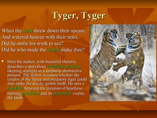 Tyger, TygerTyger, Tyger
When theWhen the starsstars threw down their spears,threw down their spears,
And watered heaven with their tears,And watered heaven with their tears,
Did he smile his work to see?Did he smile his work to see?
Did he who made theDid he who made the LambLamb make thee?make thee?
 Here the author, with beautiful rhetoric,Here the author, with beautiful rhetoric,
describes a marvelousdescribes a marvelous creationcreation processprocess
likening starlight to a symbolic destructivelikening starlight to a symbolic destructive
process. The author wonders whether theprocess. The author wonders whether the
creator of the fierce and predatory tiger couldcreator of the fierce and predatory tiger could
also make the docile, gentle lamb. He sees aalso make the docile, gentle lamb. He sees a
conflictconflict between the creation of heartless,between the creation of heartless,
burningburning predatorpredator and itsand its potentialpotential victim,victim,
the lambthe lamb..
 