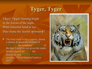 Tyger, TygerTyger, Tyger
TTyyger! Tger! Tyyger! burning brightger! burning bright
In the forests of the night,In the forests of the night,
What immortal hand or eyeWhat immortal hand or eye
Dare frame thy fearful sDare frame thy fearful syymmetrmmetryy??
 The final verse is but a reprise, almostThe final verse is but a reprise, almost
a chorus. It serves the purpose ofa chorus. It serves the purpose of
repeatingrepeating the wondrousthe wondrous questionquestion ofof
the tiger's creation and gives the readerthe tiger's creation and gives the reader
another chance toanother chance to enjoyenjoy thethe
rhetorical, andrhetorical, and alreadyalready answeredanswered
question, "What immortal hand orquestion, "What immortal hand or
eye?"eye?"
 