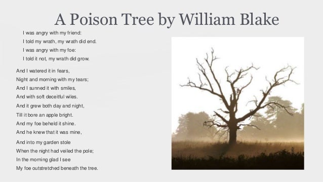 William Blake by Phoenix Keeter