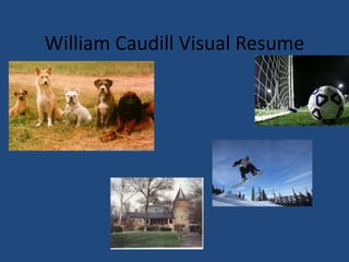 William Caudill Visual Resume 