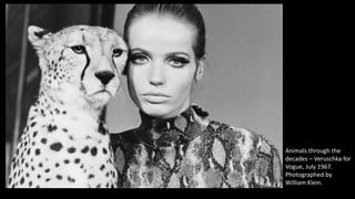 Animals through the
decades – Veruschka for
Vogue, July 1967.
Photographed by
William Klein.
 
