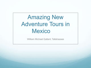 Amazing New
Adventure Tours in
Mexico
William Michael Gallant; Tallahassee
 