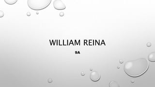 WILLIAM REINA
9A
 