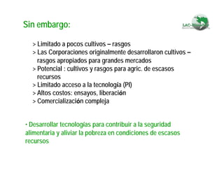 Fortaleciendo Capacidades para la Toma de Decisiones en Bioseguridad en Países Megabiodiversos: Megabiodiversos: El Proyecto LAC-Biosafety