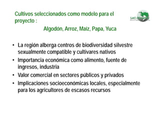 Fortaleciendo Capacidades para la Toma de Decisiones en Bioseguridad en Países Megabiodiversos: Megabiodiversos: El Proyecto LAC-Biosafety