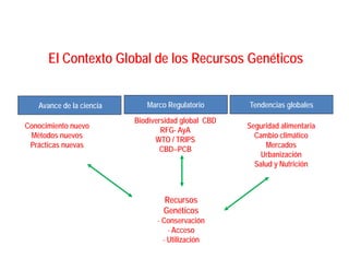 Fortaleciendo Capacidades para la Toma de Decisiones en Bioseguridad en Países Megabiodiversos: Megabiodiversos: El Proyecto LAC-Biosafety