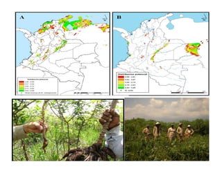 Fortaleciendo Capacidades para la Toma de Decisiones en Bioseguridad en Países Megabiodiversos: Megabiodiversos: El Proyecto LAC-Biosafety