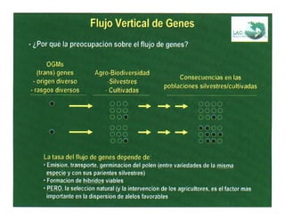 Fortaleciendo Capacidades para la Toma de Decisiones en Bioseguridad en Países Megabiodiversos: Megabiodiversos: El Proyecto LAC-Biosafety