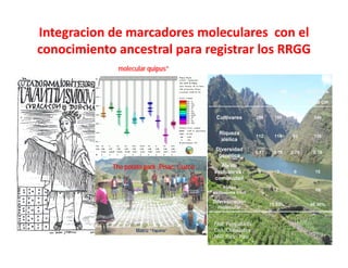 Fortaleciendo Capacidades para la Toma de Decisiones en Bioseguridad en Países Megabiodiversos: Megabiodiversos: El Proyecto LAC-Biosafety