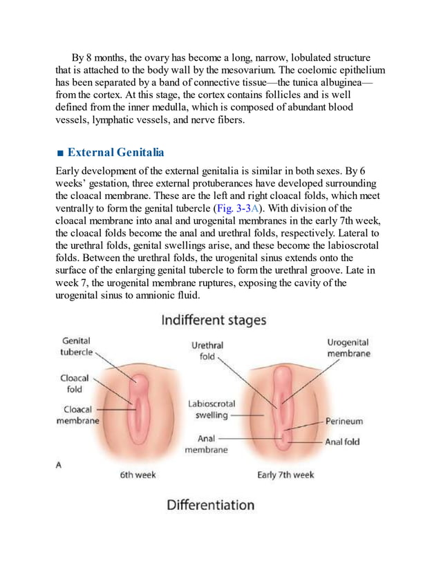 williams-obstetrics-26th-edition-2022-2-compressed-1-2457part-1.pdf
