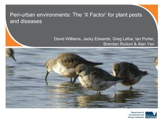 Peri-urban environments: The ‘X Factor’ for plant pests
and diseases
David Williams, Jacky Edwards, Greg Lefoe, Ian Porter,
Brendan Rodoni & Alan Yen

 