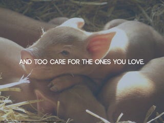 and too care for the ones you love.




Image: Stephen & Claire Fonsworth: http://www.flickr.com/photos/28046435@N05/4720850597/
 