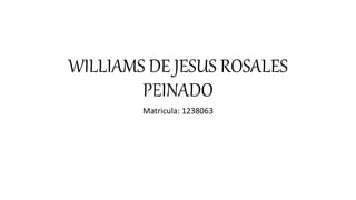 WILLIAMS DE JESUS ROSALES
PEINADO
Matricula: 1238063
 