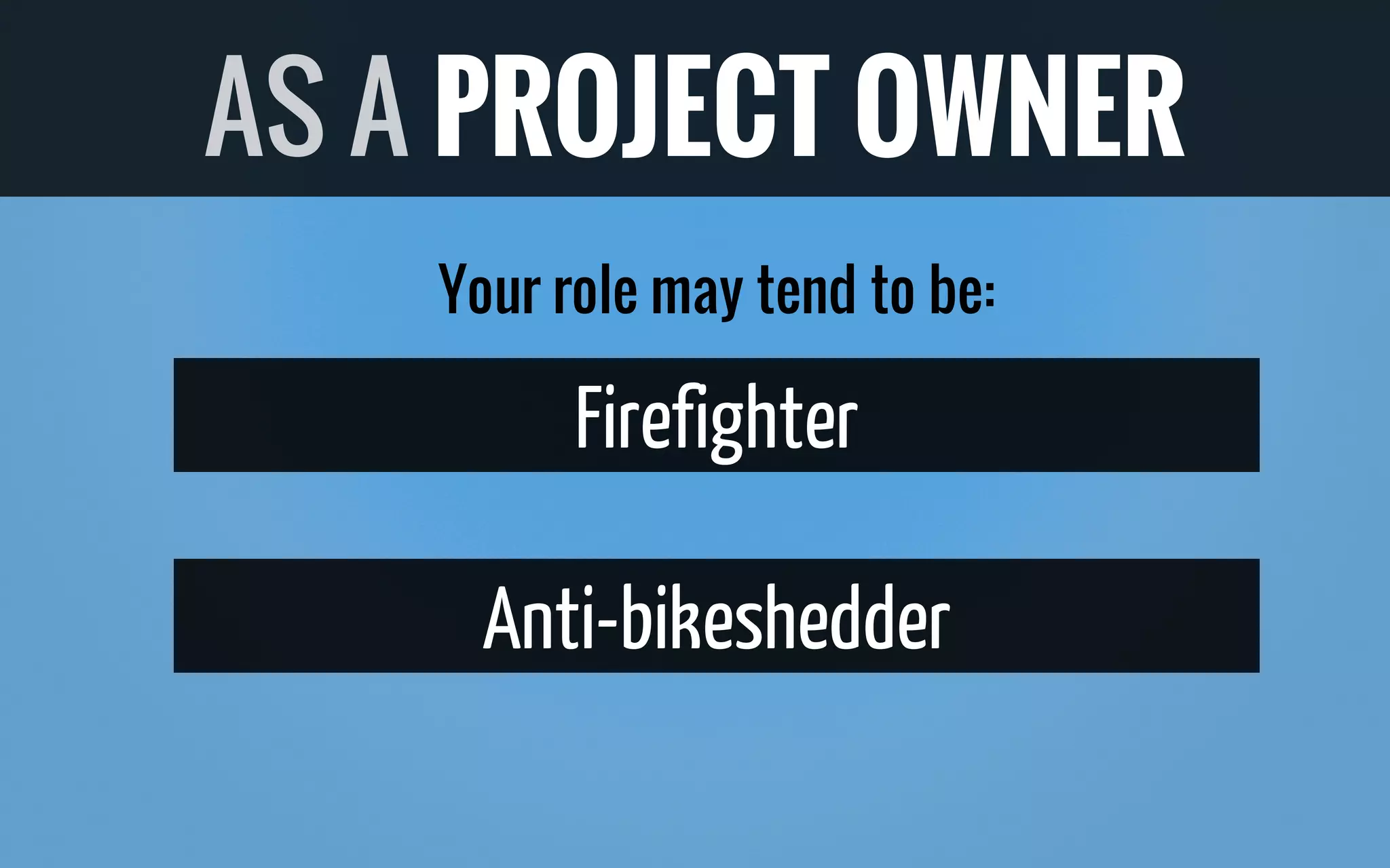 Your role may tend to be:
Firefighter
Anti-bikeshedder
AS A PROJECT OWNER
 