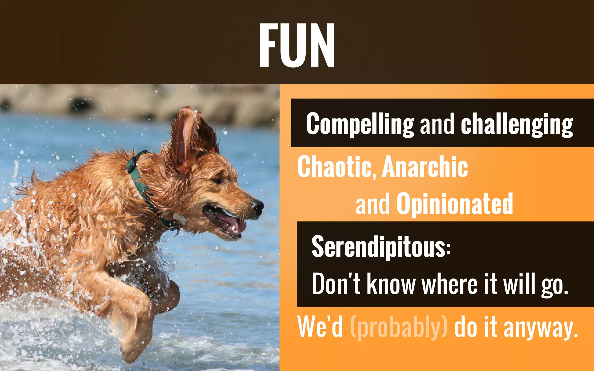 Compelling and challenging
Chaotic, Anarchic
and Opinionated
Serendipitous:
Don't know where it will go.
We'd do it anyway.(probably)
FUN
 