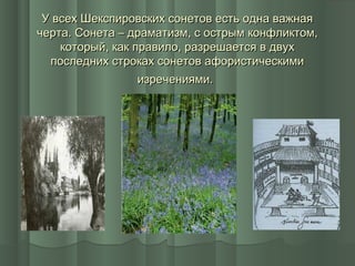 У всех Шекспировских сонетов есть одна важная
черта. Сонета – драматизм, с острым конфликтом,
    который, как правило, разрешается в двух
  последних строках сонетов афористическими
                  изречениями.
 