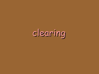 clearingclearing
 