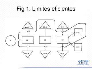 Fig 1. Limites eficientes

 