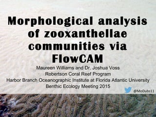 Morphological analysis
of zooxanthellae
communities via
FlowCAM
Maureen Williams and Dr. Joshua Voss
Robertson Coral Reef Program
Harbor Branch Oceanographic Institute at Florida Atlantic University
Benthic Ecology Meeting 2015
@MoDubs11
 