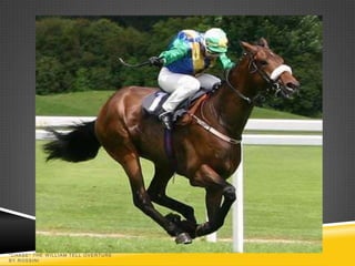 "CHASE" THE W ILLIAM TELL OVERTURE
BY ROSSINI
 