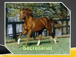 "CHASE" THE W ILLIAM TELL OVERTURE
BY ROSSINI
 