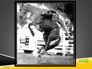 Click for
                                     More
"CHASE" THE W ILLIAM TELL OVERTURE
BY ROSSINI
 